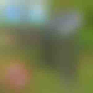 Napelemes kártevőriasztó | SOLGUARD