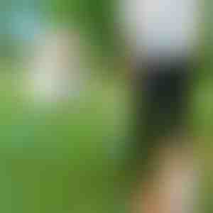 Kéz nélküli kutyapóráz | CROSSLEASH