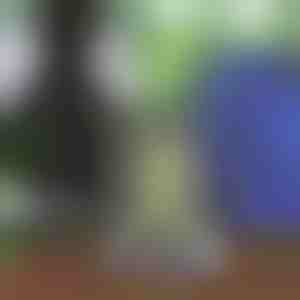 Egynemű zsinóros hátizsák | STRIPEBACK