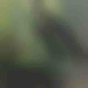 Összecsukható sárvédő biciklire | FOLDIGUARD