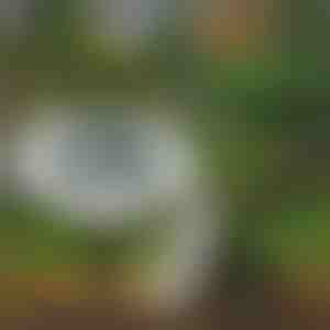 Kültéri napelemes talaj lámpák (3 db) | LUMIGARD