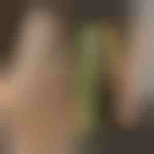 Hajvasaló és hajgöndörítő | TWISTLINE