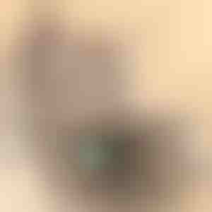 Játék macskáknak | PREYPLAY