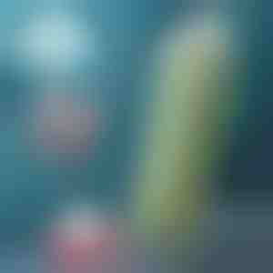 Összecsukható palack | FOLDSIP