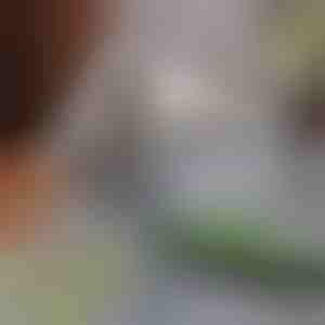 Háziállat szőrtávolító felmosó | PAWMOP