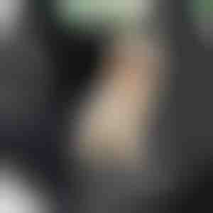 Kutya vízálló hátsó ülés védő | CARIPET