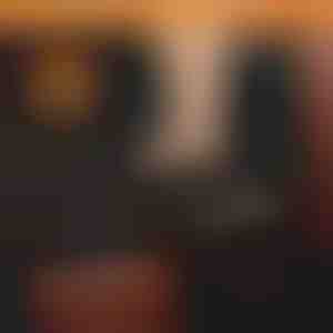 Kutya vízálló hátsó ülés védő | CARIPET