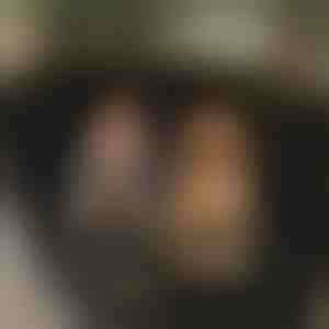 Kutya vízálló hátsó ülés védő | CARIPET