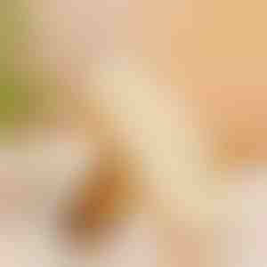 Gumiból készült cipőkefe | RUBSHOE